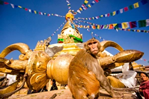 Sacred Monkey Temple (Swayambhunath Temple), UNESCO World Heritage Site, Kathmandu