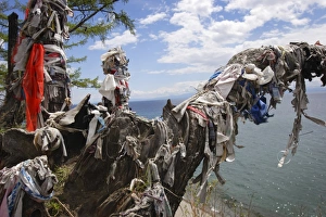 Russia Prints: Sacred shamanic tree on Lake Baikal