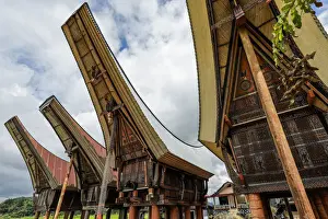 Toraja Prints: Saddleback roof tongkonans (family rice barns) (homes)