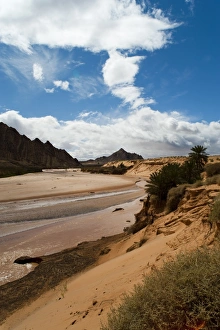 Algeria Prints: Saf Saf River, the border with Algeria, oasis of Figuig, province of Figuig