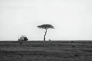 2 People Prints: A safari car stopped for a picnic under an Acacia Tree in the Maasai Mara