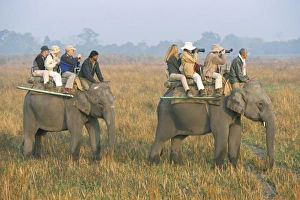 Assam Prints: Safari on elephant back