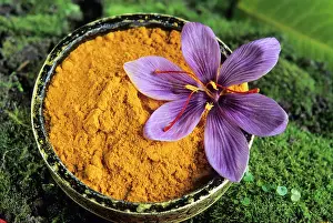 Floral Prints: Saffron powder, Loiret department, region of Centre, France, Europe
