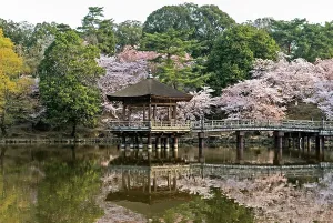 Pavilion Prints: Sagi-ike Pond and Ukimido Pavilion, Cherry Blossoms, Nara, Japan