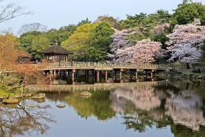 Pavilion Prints: Sagi-ike Pond and Ukimido Pavilion, Cherry Blossoms, Nara, Japan