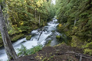 Oregon Prints: Sahalie Falls in autumn, McKenzie Bridge, Lane county, Oregon, United States of America