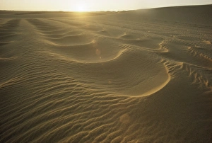 Ripple Prints: Sahara Desert, Niger, Africa