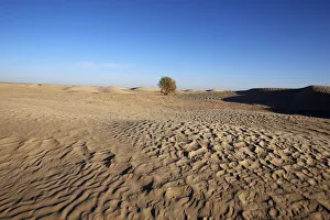 Dayime Prints: Sahara landscape, Douz, Kebili, Tunisia, North Africa, Africa
