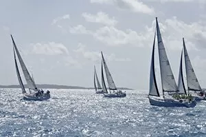 Images Dated 21st March 2009: Sailboat regattas. British Virgin Islands, West Indies, Caribbean, Central America
