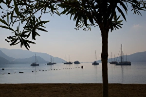 Sailboats framed by tree, Marmaris, Anatolia, Turkey, Asia Minor, Eurasia