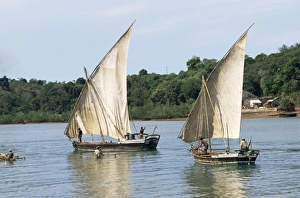 Nosy Be Prints: Sailboats, Nosy Be Island