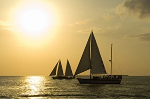 Sailboats at sunset