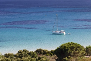 Palombaggia Prints: Sailing boat at the beach of Palombaggia, Corsica, France, Mediterranean, Europe