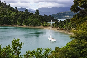 Sailing boat in the Marlborough Sounds, South Island, New Zealand, Pacific