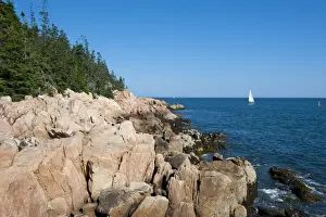 Sailing Boat Prints: Sailing boat at the rocky cliffs of Bass Harbor Head Lighthouse