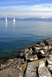 Lake Geneva Prints: Sailing boats