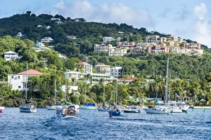 Sailing Boat Prints: Sailing boats in Cruz Bay, St. John, Virgin Islands National Park, US Virgin Islands
