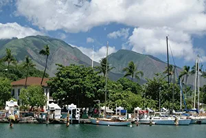 Hawaii Prints: Sailing boats in the harbour of Lahaina