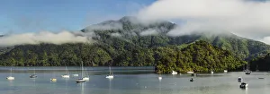 Australasia Prints: Sailing boats at Ngakuta Bay, Marlborough Sounds, Picton, South Island, New Zealand