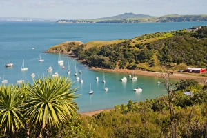 Waiheke Island Prints: Sailing boats on Waiheke Island, Auckland, North Island, New Zealand, Pacific