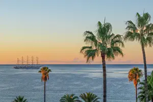 Elegance Prints: Sailing cruiser moored off coast with palm trees and Mediterranean seen from Le Suquet (old town)
