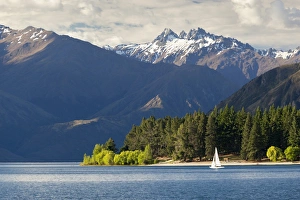 Otago Prints: Sailing on Lake Wanaka, Wanaka, Otago, South Island, New Zealand, Pacific