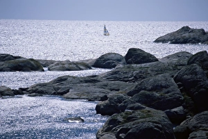 Affluence Prints: Sailing off Koster archipelago