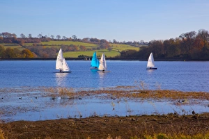 Sails Prints: Sailing on Ogston Reservoir, Derbyshire Dales, Derbyshire, England, United Kingdom, Europe