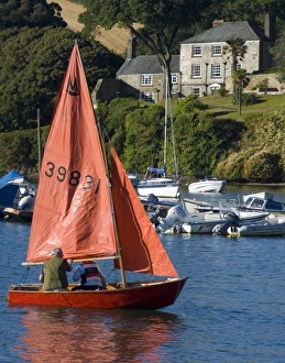 Senior Prints: Sailing, Salcombe harbour, South Hams, Devon, England, United Kingdom, Europe