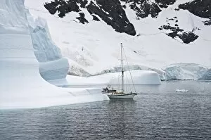 Images Dated 21st February 2009: Sailing yacht and iceberg, Errera Channel, Antarctic Peninsula, Antarctica, Polar Regions