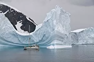 Images Dated 21st February 2009: Sailing yacht and iceberg, Errera Channel, Antarctic Peninsula, Antarctica, Polar Regions