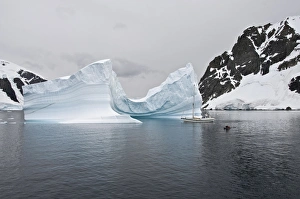 Images Dated 2009 February: 