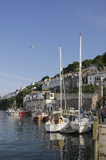Sailing Boats Prints: Sailing yachts moored in Looe harbour, Cornwall, England, United Kingdom, Europe