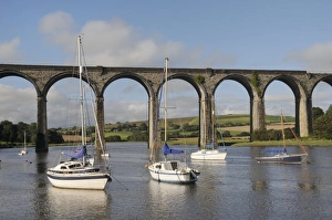 Viaducts Prints: Sailing yachts moored in the River Lynher at high tide below St