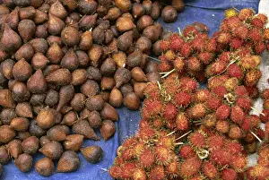 Lake Toba Prints: Salak and rambutan, the snakeskin and hairy tropical fruits in the market