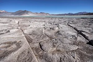 Salar de Aguas Calientes, Los Flamencos National Reserve, Antofagasta Region, Chile