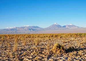 Salar de Atacama, Atacama Desert, Antofagasta Region, Chile, South America