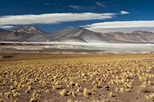 Images Dated 18th June 2010: Salar de Talar, Atacama Desert, Chile, South America