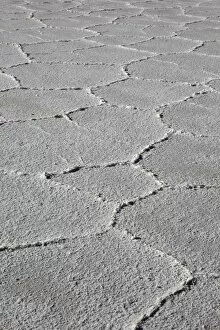 Images Dated 2nd November 2010: Salar de Uyuni, Bolivia, South America