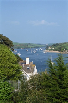 Salcombe, Devon, England, United Kingdom, Europe