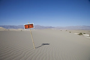 Humor Prints: For Sale sign in desert