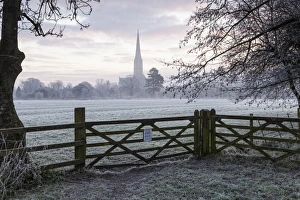 Salisbury Prints: Salisbury Cathedral at dawn in Salisbury, Wiltshire, England, United Kingdom, Europe