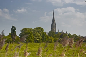 Salisbury Prints: Salisbury Cathedral, Salisbury, Wiltshire, England, United Kingdom, Europe