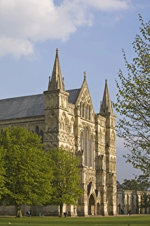 Salisbury Prints: Salisbury Cathedral in spring, Salisbury, Wiltshire, England, United Kingdom, Europe