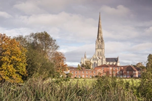 Salisbury Prints: Salisbury Cathedral from the West Harnham Water Meadows, Salisbury, Wiltshire, England