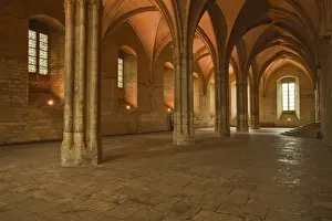 Avignon Prints: The Salle de la Grande Audience or Big Audience room inside the Palais des Papes