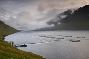 Salmon farming in Hvannassund, near Vidareidi, Vidoy, Nordoyar, Faroe Islands (Faroes)