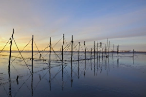 Fishing Nets Prints: Salmon fishing nets, Solway Firth