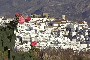 Hill Town Prints: Salobrena, Granada province