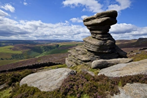 Heather Prints: Salt Cellar Rock, Derwent Edge, with purple heather moorland, Peak District National Park